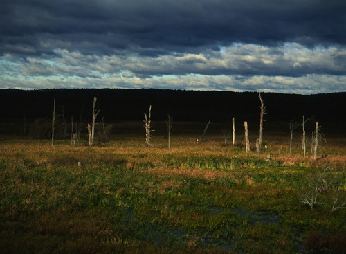 Autumn Storm, Great Swamp National Wildlife Refuge, Morris County, NJ (MF).jpg